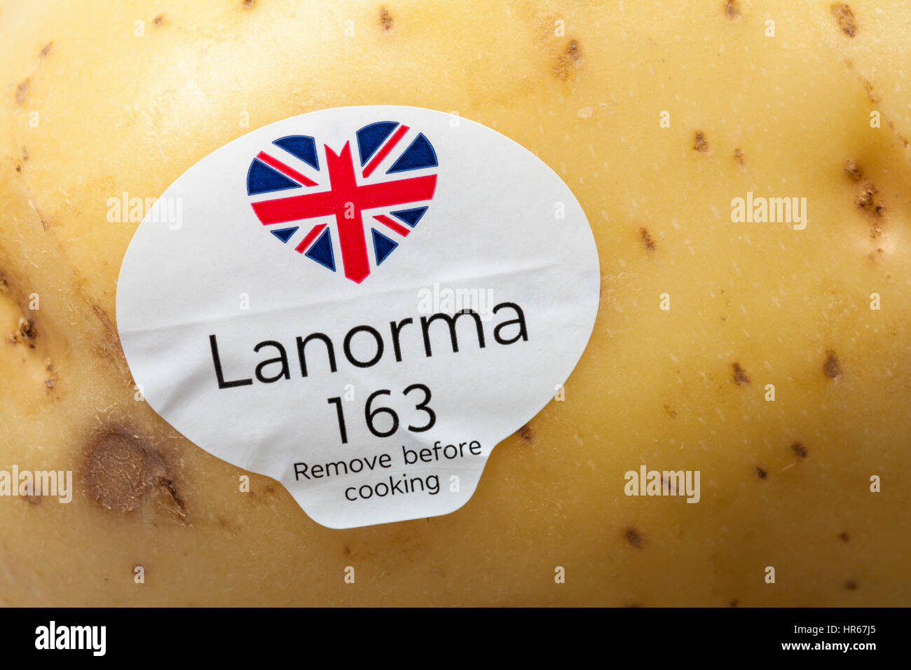 Lanorma entfernen vor dem Kochen mit Union Jack Herz Aufkleber auf Lanorma Kartoffel Stockfoto