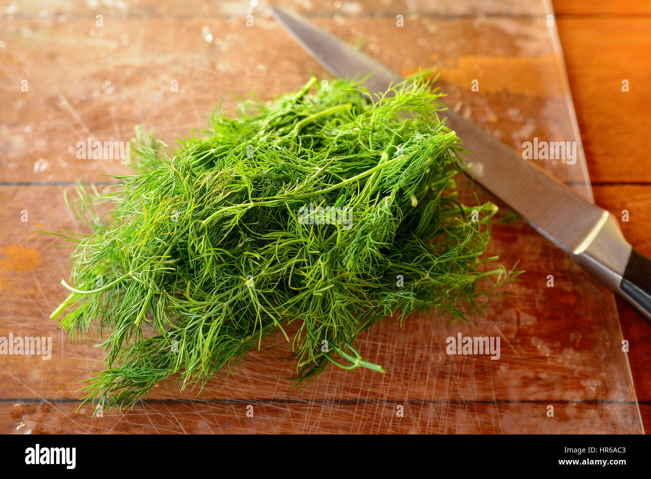 Zweige frischer grüner Dill mit Wasser Tropfen auf einem Holztisch. Großen metallischen Messer auf einen natürlichen Hintergrund. Selektiven Fokus. Stockfoto