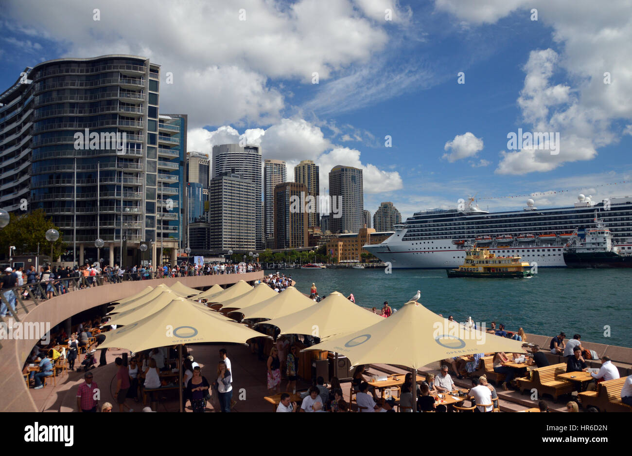 Das Kreuzfahrtschiff (Carnival Legend) vertäut am Circular Quay in Sydney Harbour von der Opera Bar, New-South.Wales, Australien. Stockfoto