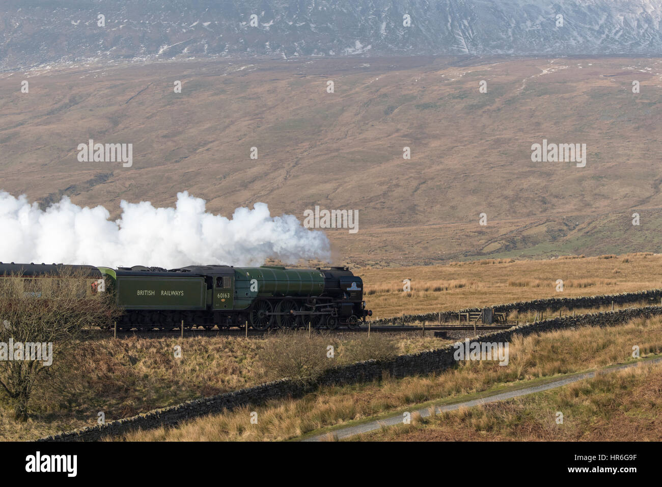 Schnaufend Rauch, bereist Lok Nr. 60163 Tornado (Peppercorn A1 Pazifik) Ribblesdale, vorbei an Fuße des schneebedeckten Whernside. Stockfoto