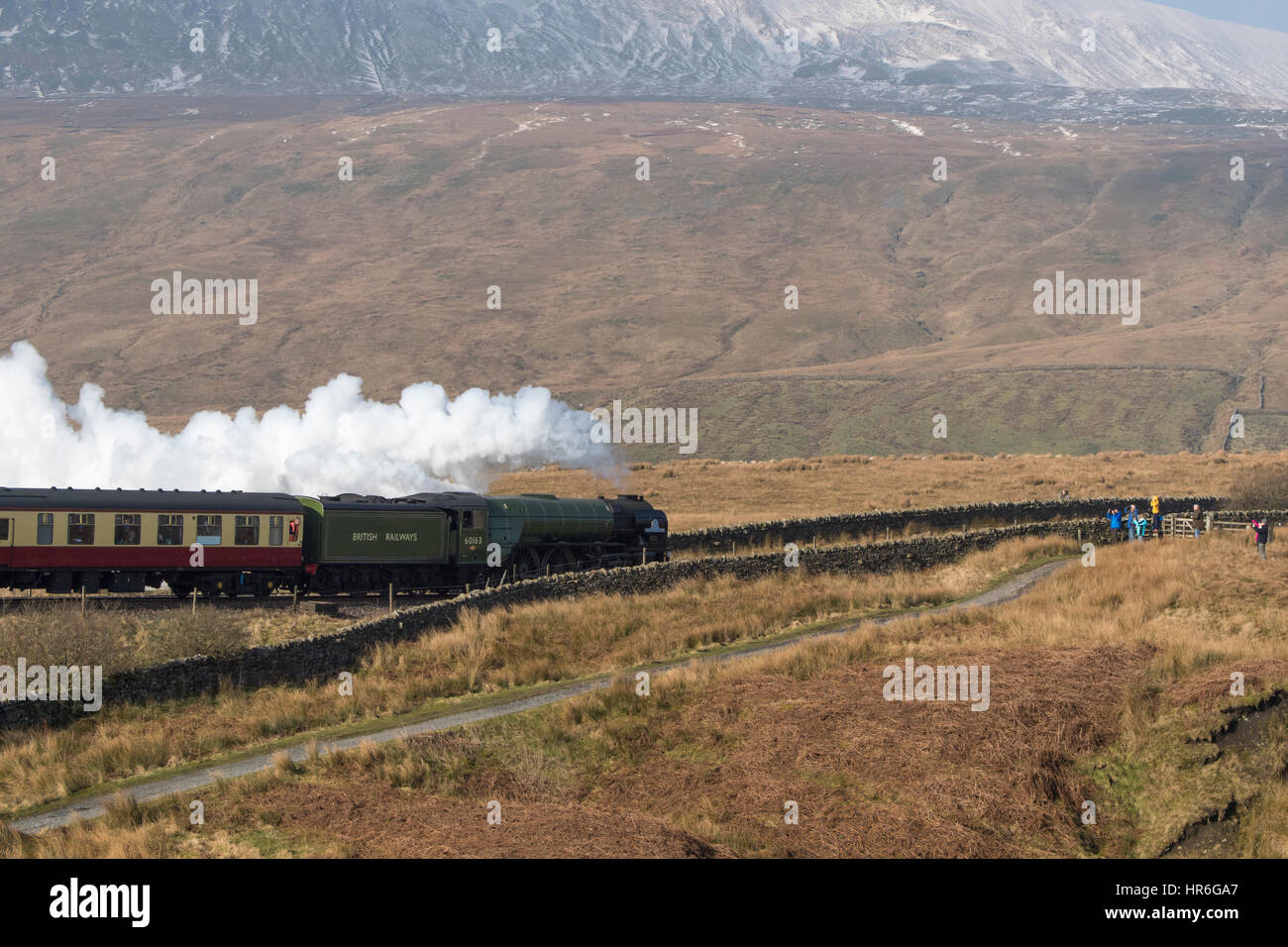 Schnaufend Rauch, bereist Lok Nr. 60163 Tornado (Peppercorn A1 Pazifik) Ribblesdale, vorbei an Fuße des schneebedeckten Whernside. Stockfoto