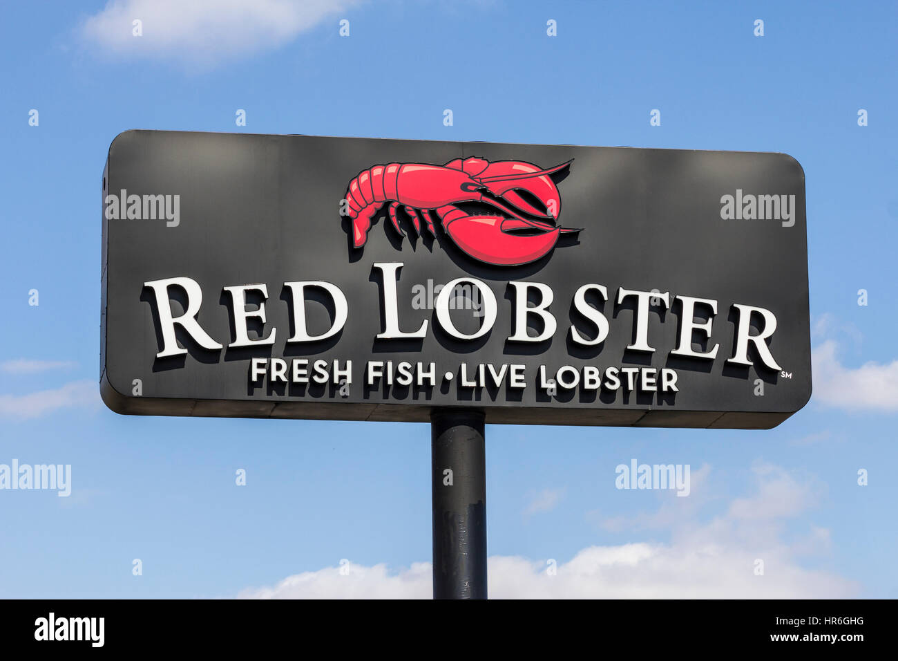 Indianapolis - ca. Februar 2017: Red Lobster Casual Dining Restaurant, Red Lobster Golden Gate Capital III gehört Stockfoto
