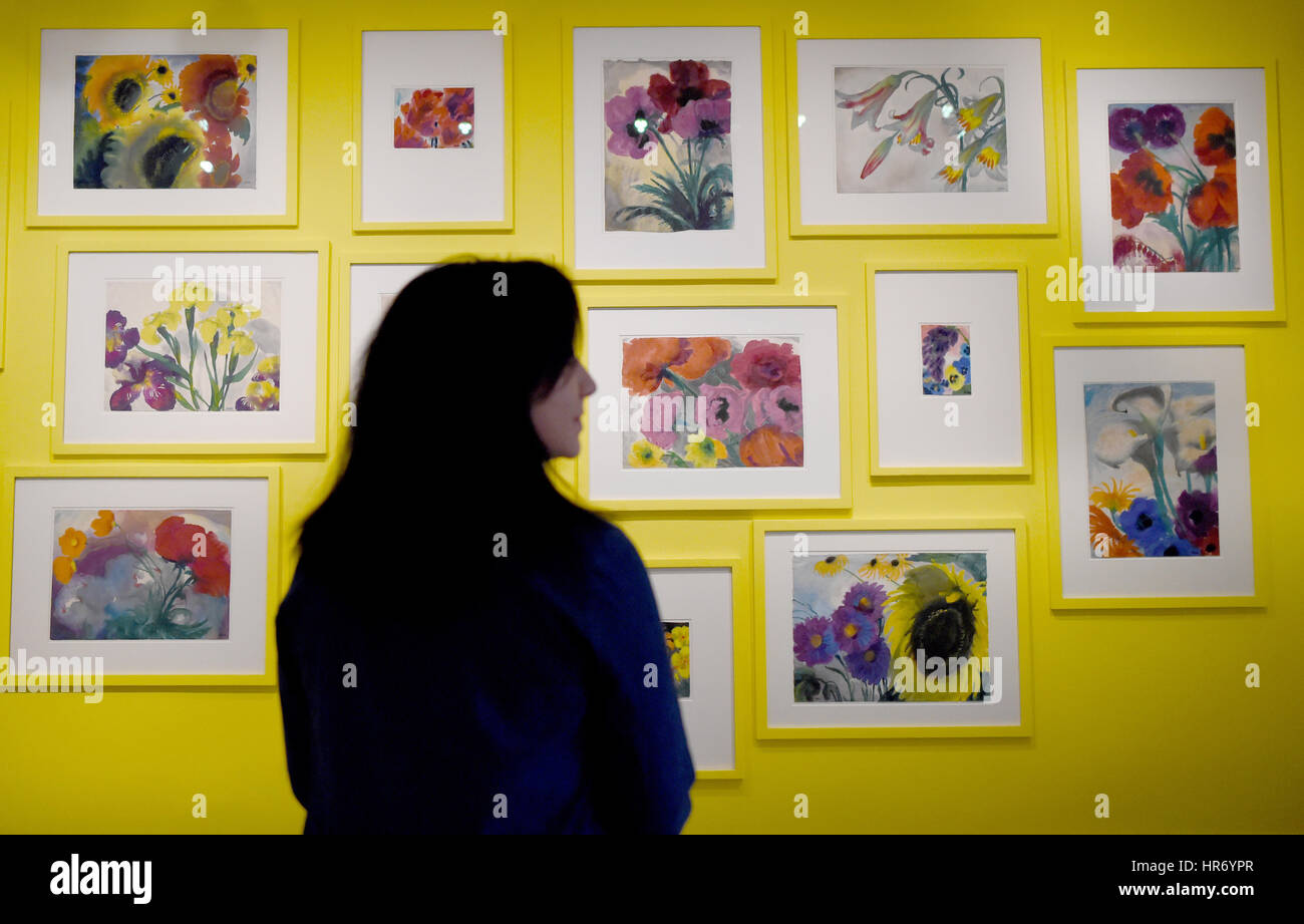 Neukirchen, Deutschland. 24. Februar 2017. Bilder von Blumen hängen in der Galerie der Nolde-erstklassische Seebiell in Neukirchen, Deutschland, 24. Februar 2017. Am 1. März 2017 werden der 61. Jahresausstellung unter dem Titel "150 Jahre Emil Knoten - Merkblatt". (lt.150 Jahre Emil Node, Masterworks) Bildnachweis: Dpa/Alamy Live-Nachrichten Stockfoto