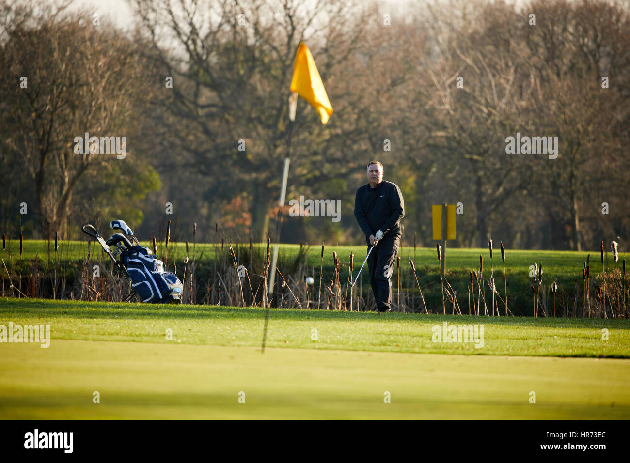 Herbstlichen Sonnenschein Lightfoot Lane Bereich Ingol Village Golf Club Grüns als Golfer ziehen Sie ihren Trolley über die grünen spielen Stockfoto