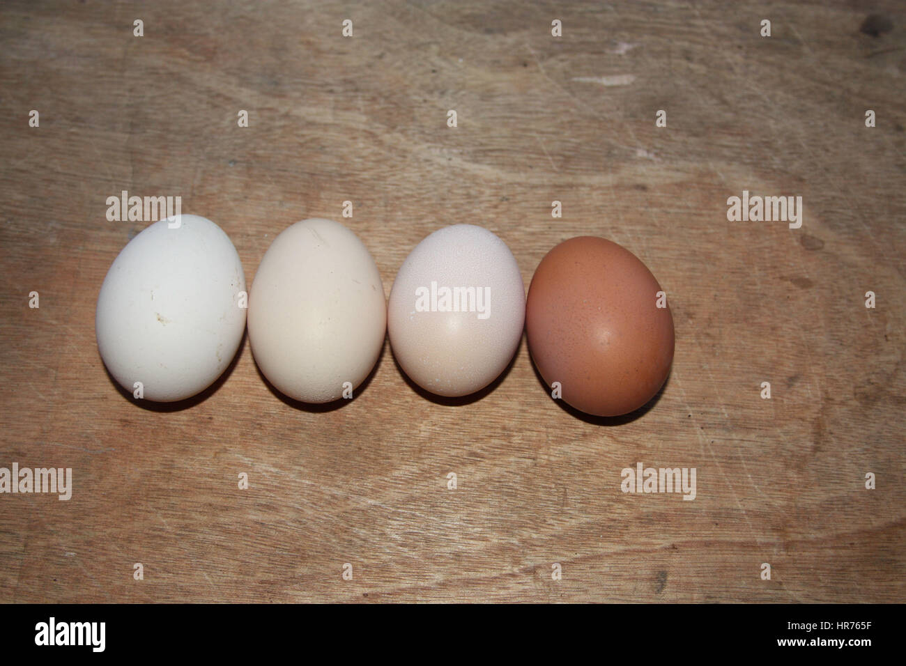 Eiern in verschiedenen Farben aus dem Dorf Hühner sind in einer Reihe auf dem Tisch Stockfoto