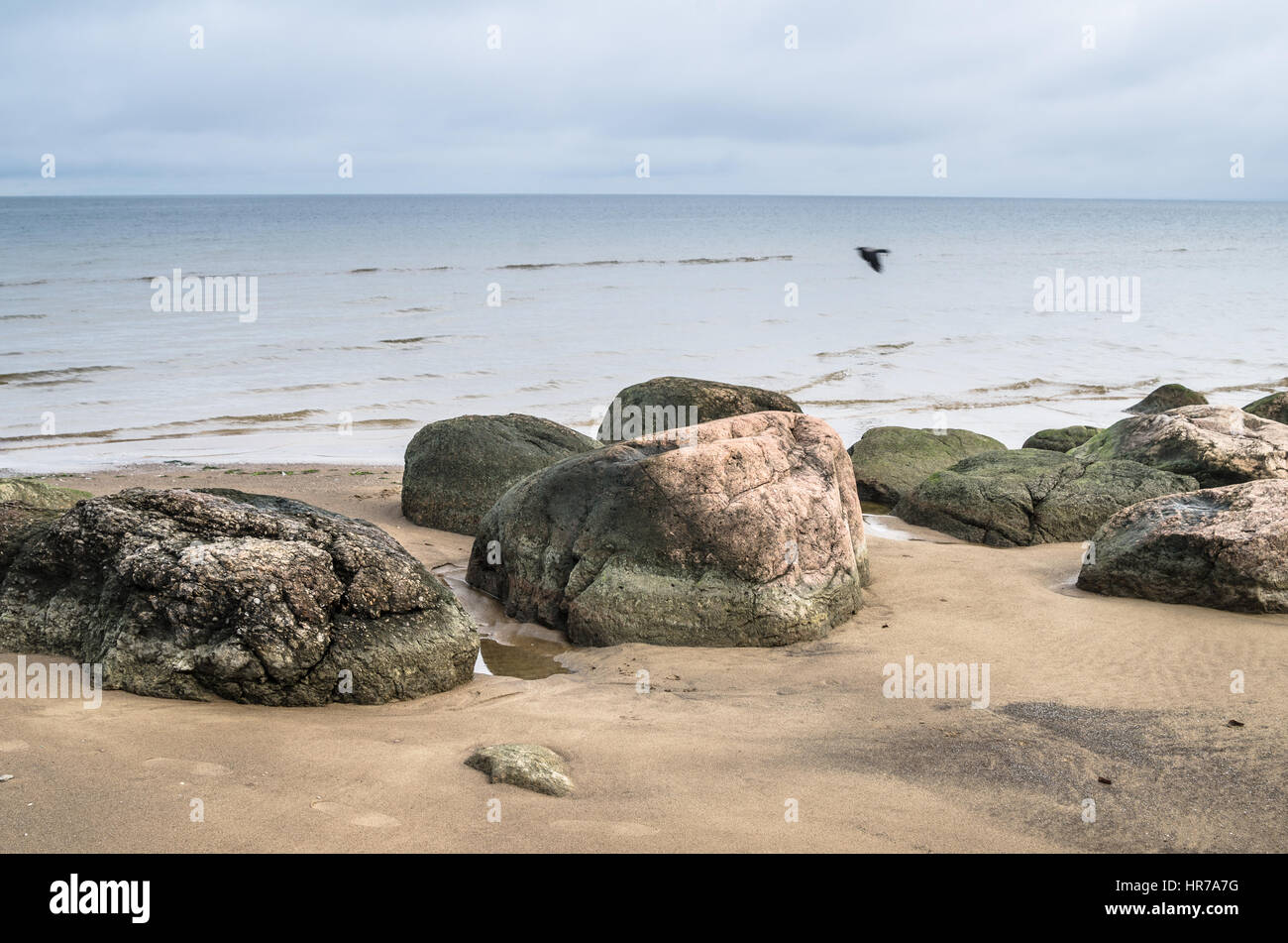 Felsiger Strand am Golf von Finnland. Sillamae, Estland Stockfoto