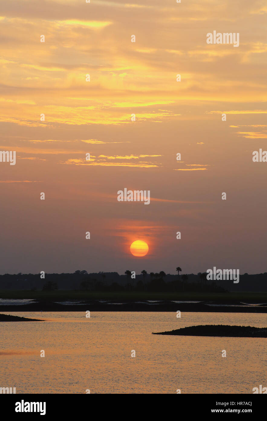 Austernbänke sind gegen ein buntes Sonnenuntergang in Kiawah River auf Kiawah Island, South Carolina Silhouette. Stockfoto
