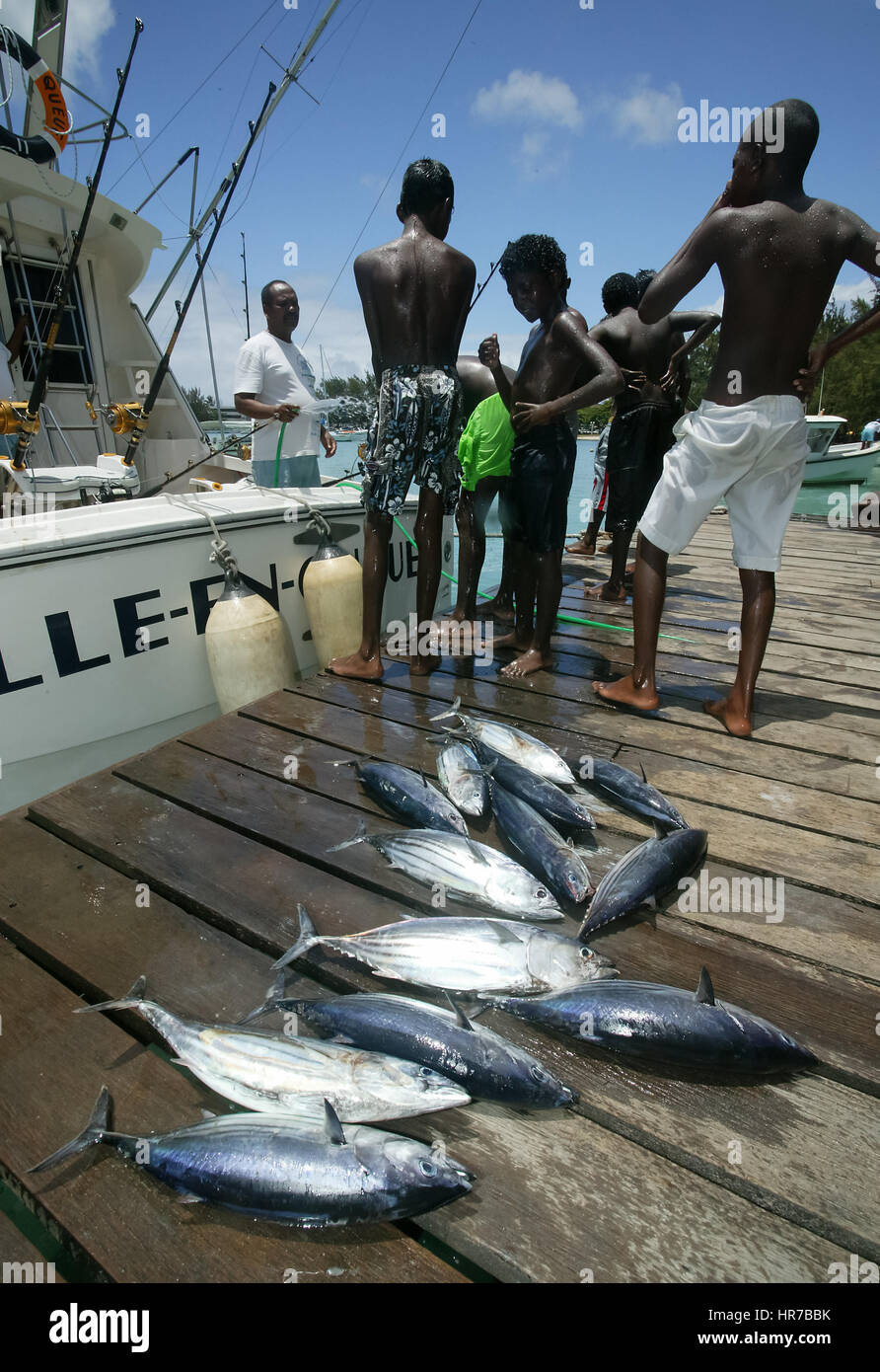 Mauritius, Grand Baie, Hochseefischerei, Fischfang, Jungen Zeigen Die Gefangenen Fische, Baden, Blaues Wasser, Boot, Auch Kleine Fische, Fischfang, Ma Stockfoto