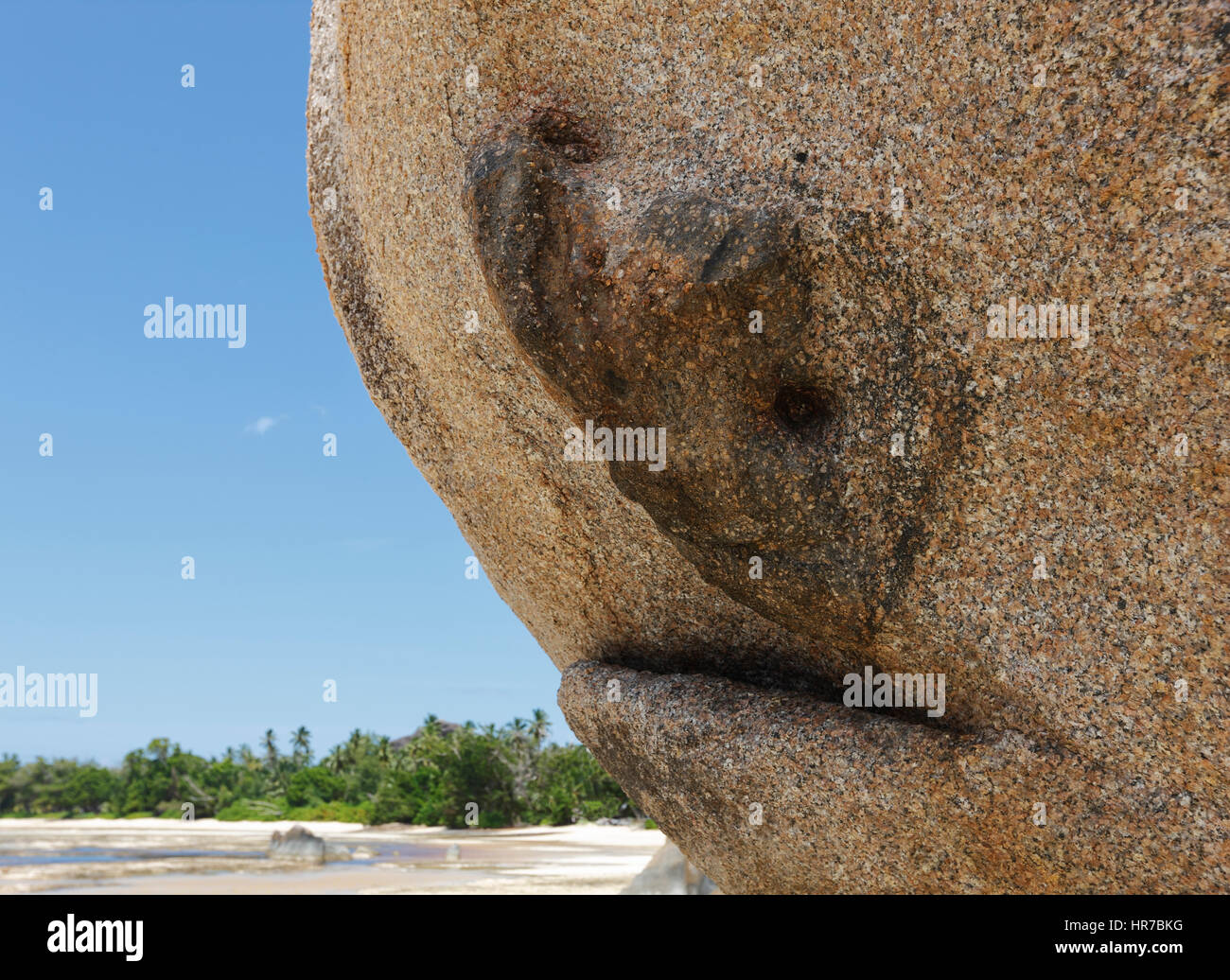 Natürliche Skulptur Hai Fisch auf Granit Stein, Seychellen-Insel. Stockfoto