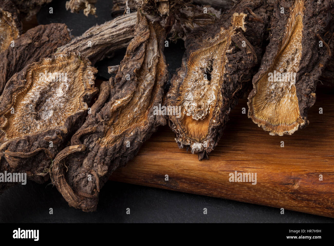 Klette (Arctium) - Heilpflanze. Getrocknete Wurzeln Öl dienen die Haare Behandlung und Pflege. Stockfoto