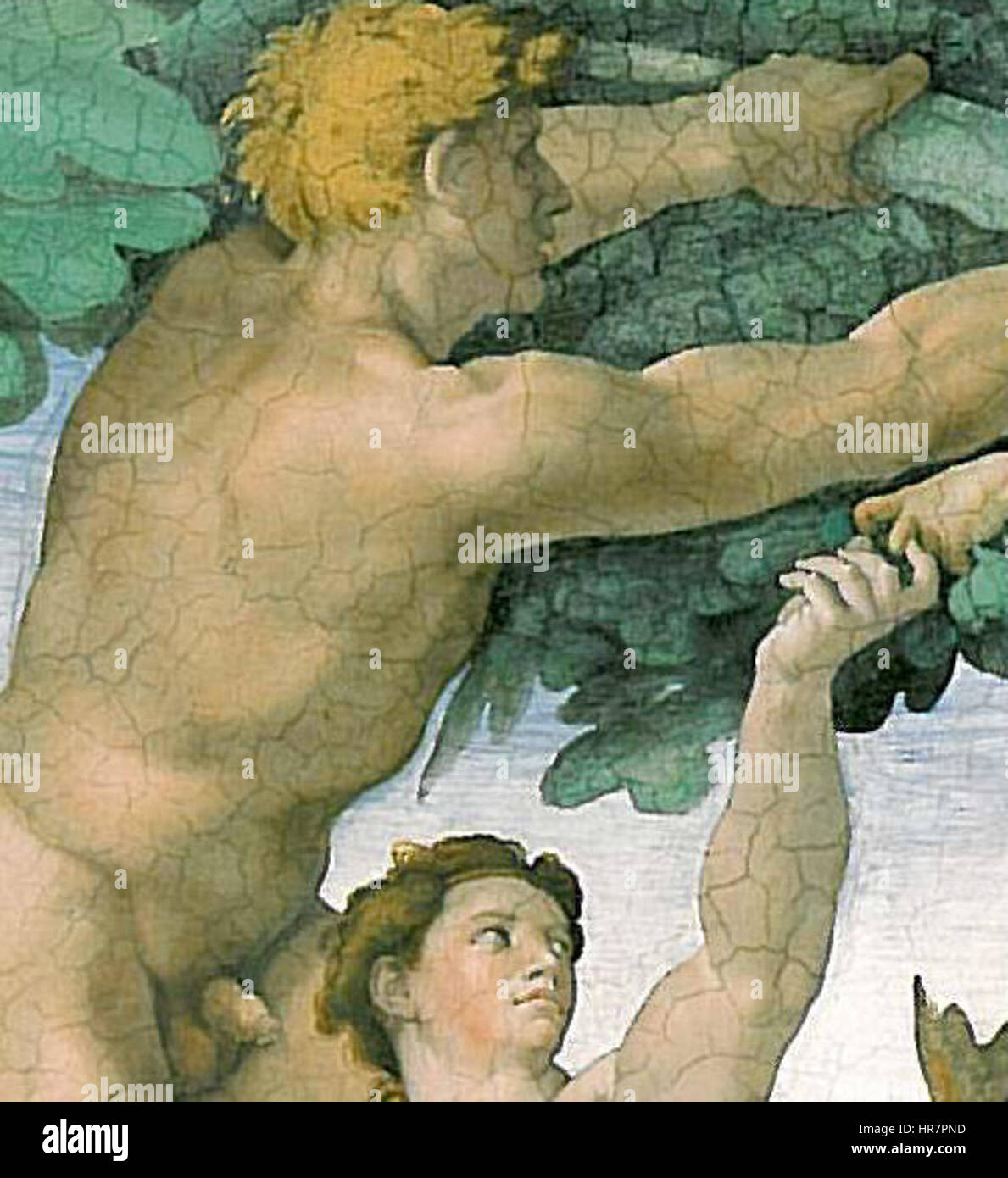 Der Suendenfall von Michelangelo ist eine Darstellung der biblischen Geschichte von Adam und Eva. Das Kunstwerk fängt den Moment der Versuchung und die Folgen der Sünde ein und zeigt Michelangelos dynamische Komposition und Beherrschung bei der Darstellung menschlicher Figuren. Stockfoto