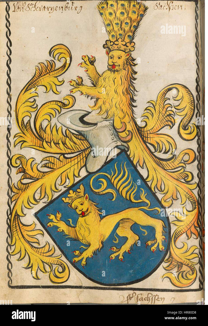 Die Wappen Schwarzburg ist ein Wappenwappen aus dem Jahr 1901, geschaffen von der Familie Scheibler aus Sachsen. Sie repräsentiert die adelige Abstammung und historische Bedeutung der Schwarzburger Dynastie in der Region. Stockfoto