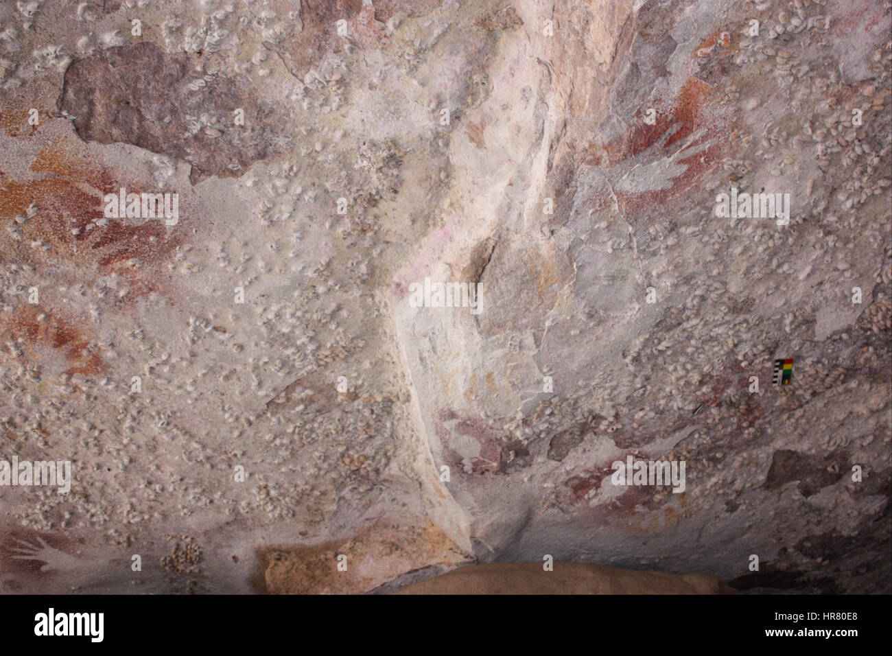 Drei Vögel Schablonen an Decke - Google Art Project Stockfoto