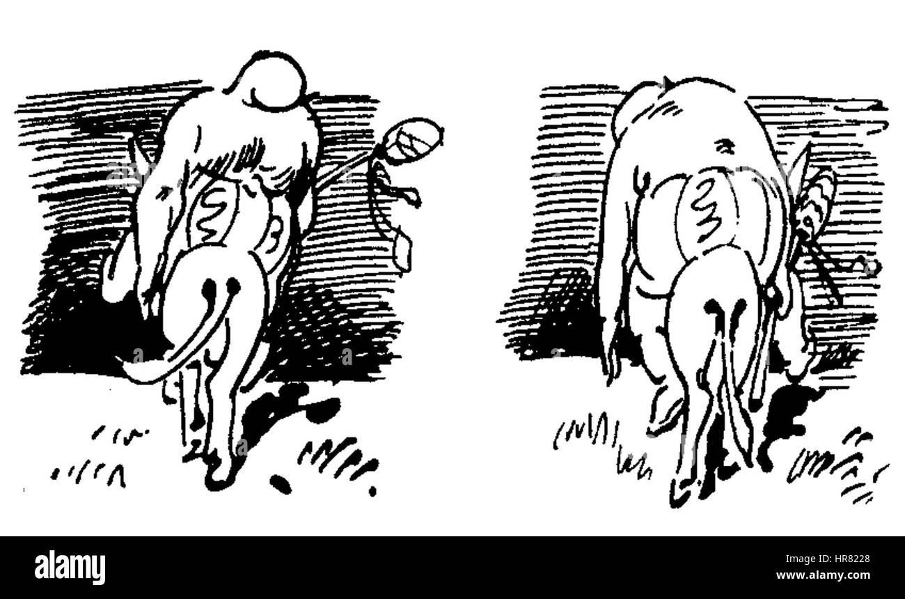 „Der Haarbeutel“ von W. Busch ist eine satirische Karikatur, die sich auf eine humorvolle Kritik sozialer Konventionen konzentriert. Das Stück aus dem 14. Jahrhundert spiegelt Buschs scharfe soziale Kommentare und seine Verwendung der Karikatur als Werkzeug der gesellschaftlichen Reflexion wider. Stockfoto