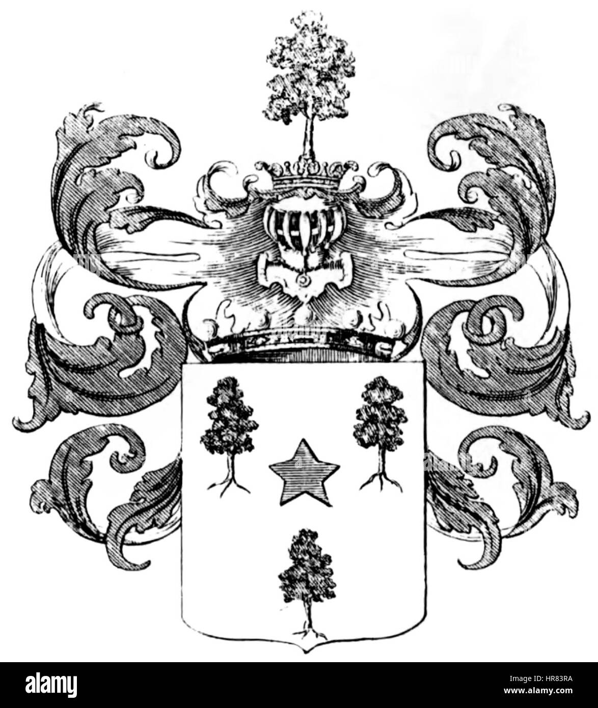 Der „Wappen der Familie du Jarrys Freiherren von La Roche“ aus dem Jahr 1745 zeigt das Wappen der Familie du Jarrys, eine Adelsfamilie. Das detailreiche Kunstwerk spiegelt die heraldischen Traditionen der europäischen Aristokratie des 18. Jahrhunderts wider. Stockfoto