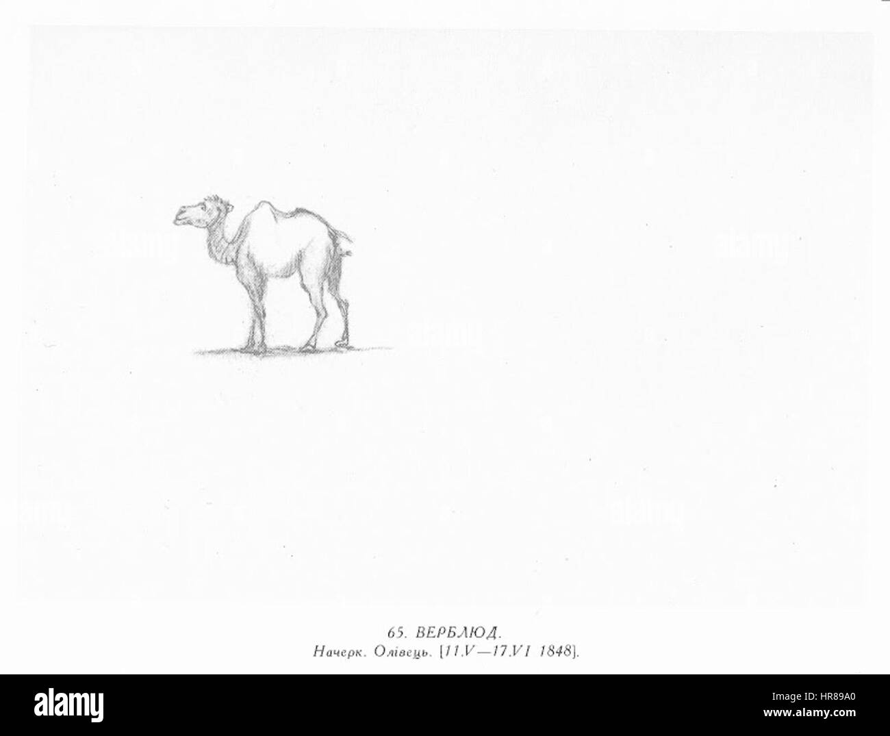 Taras Schewtschenko painting0065 Stockfoto