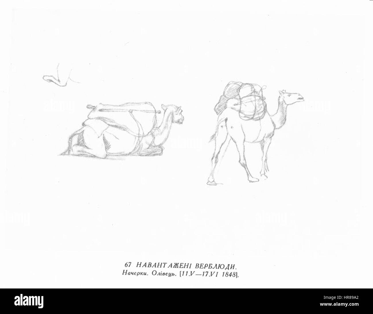 Das Gemälde von Taras Schewtschenko, einem prominenten ukrainischen Künstler und Dichter, spiegelt seine tiefe Verbindung zum ukrainischen Volk und seinen Kampf um die Unabhängigkeit wider. Schewtschenkos Stil enthielt oft emotionale Intensität und nationale Themen. Stockfoto