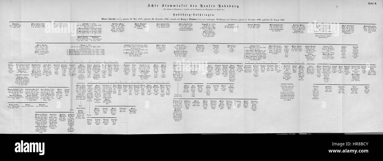 Die „Vol7 Stammtafel Achte H Habsburg“ ist ein Stammbaum, der die Abstammung der Habsburgerdynastie nachzeichnet und die komplizierten Verbindungen und die politische Bedeutung einer der mächtigsten Familien Europas veranschaulicht. Stockfoto