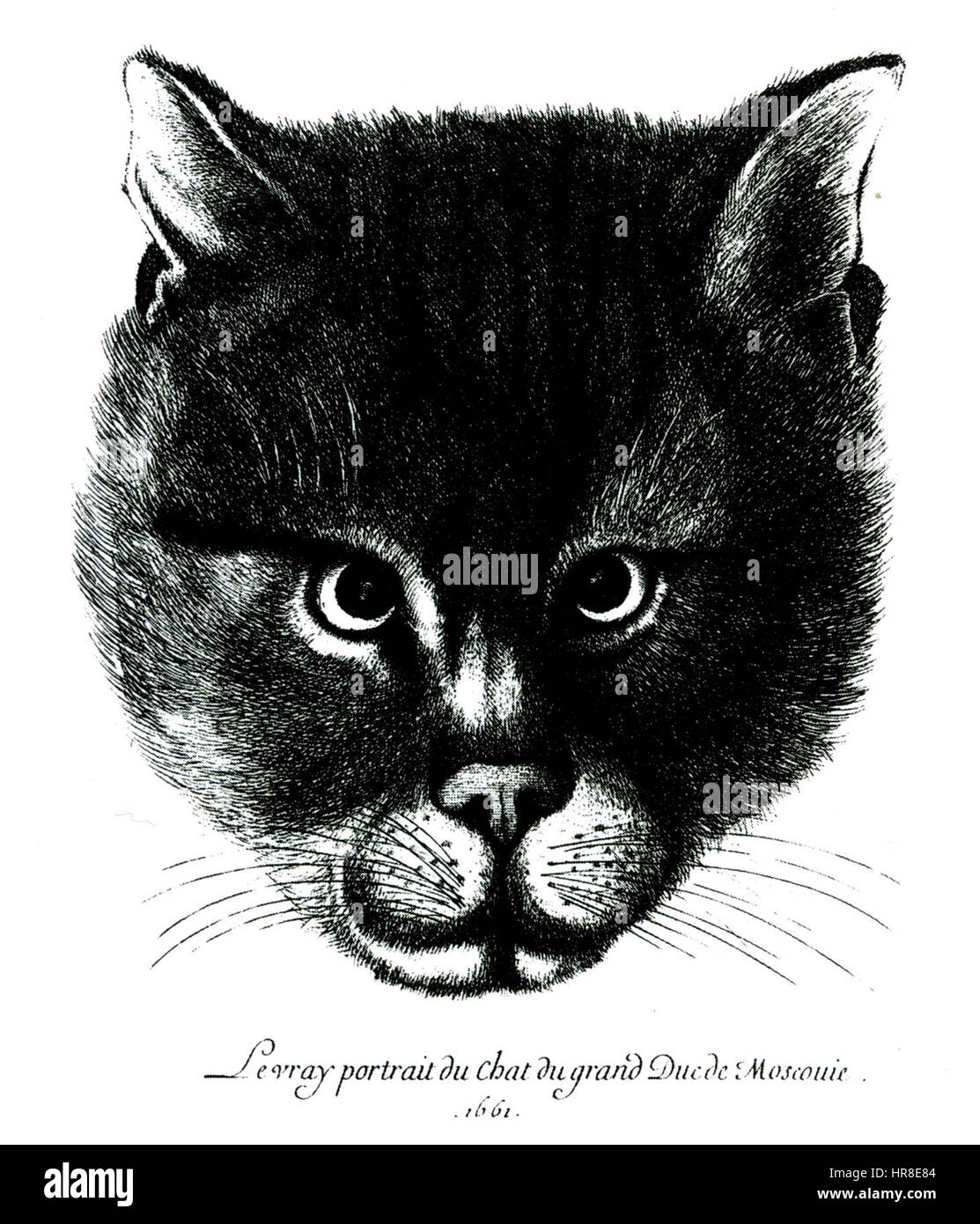 Die Katze des Zaren Alexis, 1661 Stockfoto