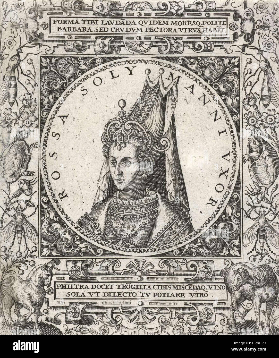 Sultan Roxelana Stockfoto