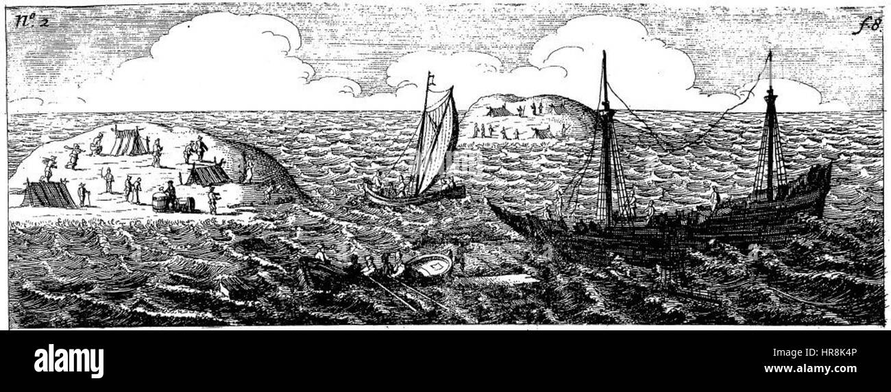 Die Abrolhos Tragödie (Abbildung 5) Stockfoto