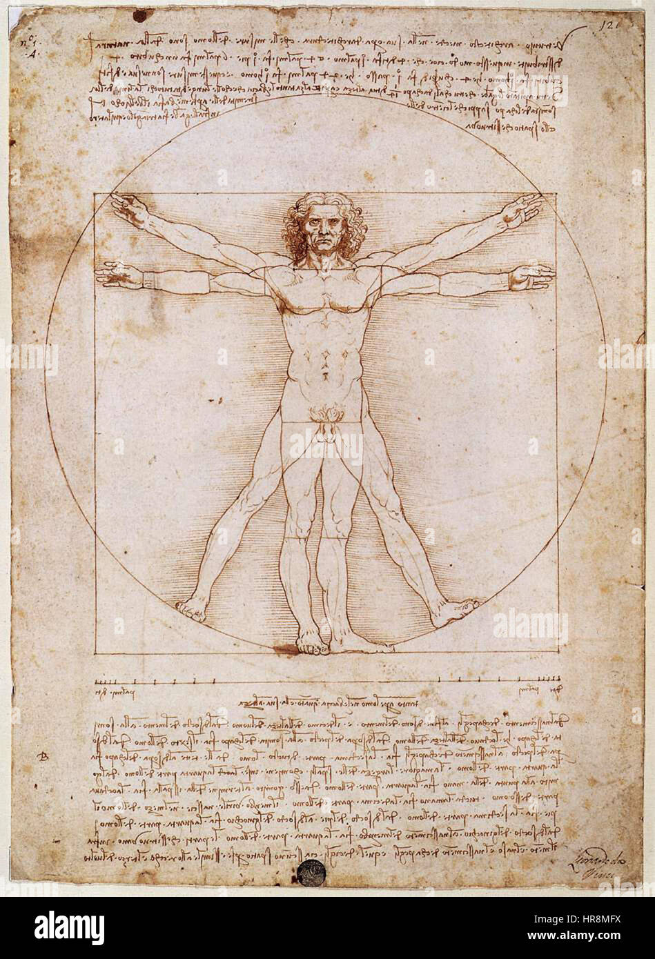 Leonardo da Vincis „vitruvianischer Mann“ ist eine Studie über menschliche Proportionen, die auf den Schriften des römischen Architekten Vitruv basiert. Die Zeichnung zeigt da Vincis Faszination für die Verbindung von Kunst, Wissenschaft und menschlichem Körper und veranschaulicht ideale menschliche Proportionen. Stockfoto