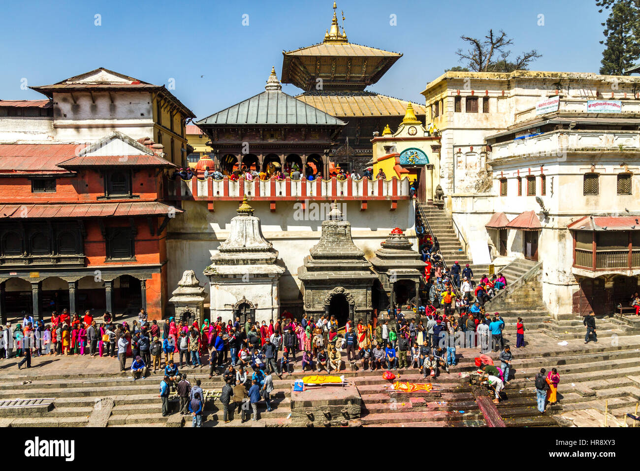 Mahashivaratri Festival am Pashupatinath Tempel in Kathmandu, Nepal Stockfoto