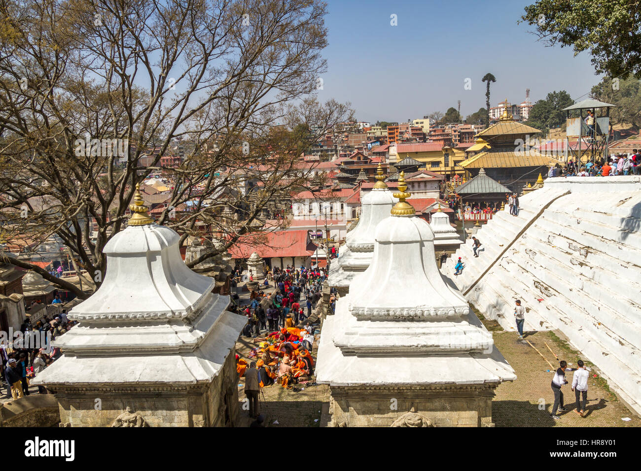 Mahashivaratri Festival am Pashupatinath Tempel in Kathmandu, Nepal Stockfoto
