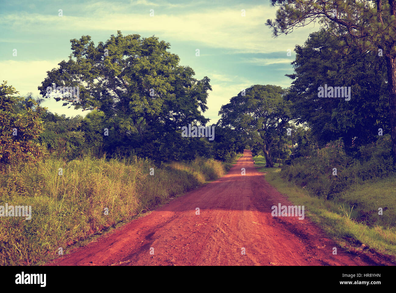 Rote Erde Weg. Landschaft der Parana Misiones Provinz Argentiniens. Landschaft.  Landschaft im ländlichen Raum. Stockfoto