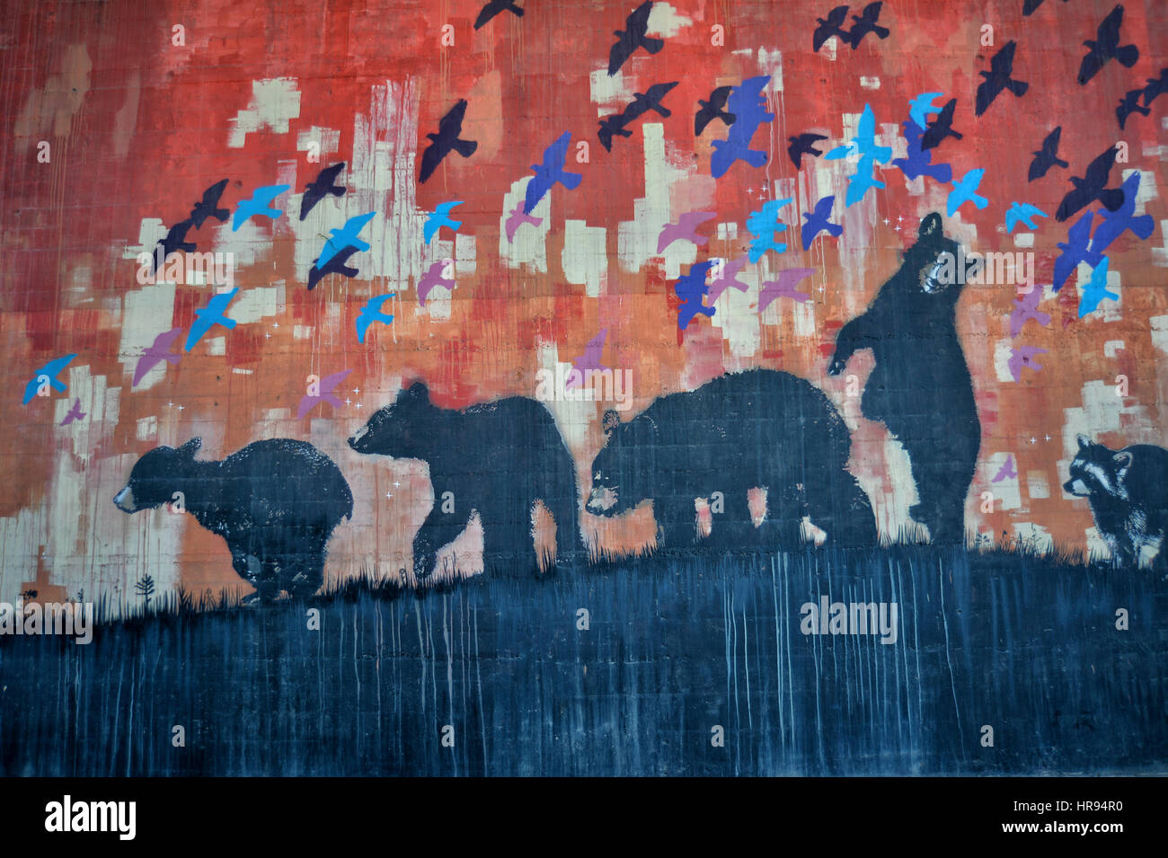 Graffiti an der Wand einer Familie der Bären Stockfoto