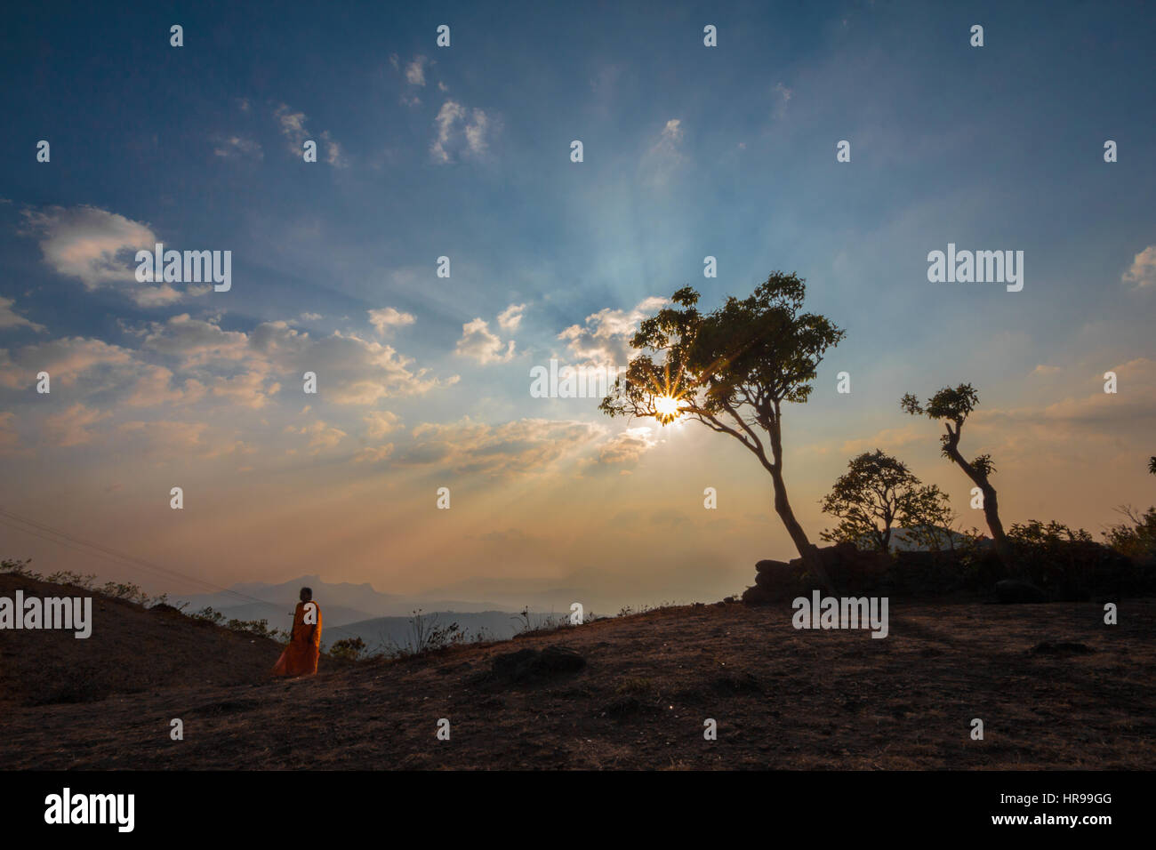 Abend-Sonnenstrahlen durch einen Baum. Ein Abend im Mullayanagiri Peaks, Chikamagalur, Karnataka. Einzelne Person, die Stockfoto