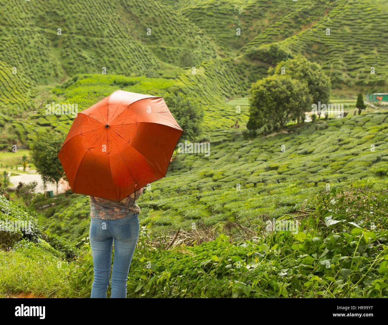 Frau mit roten Regenschirm in grüne Landschaft Stockfoto