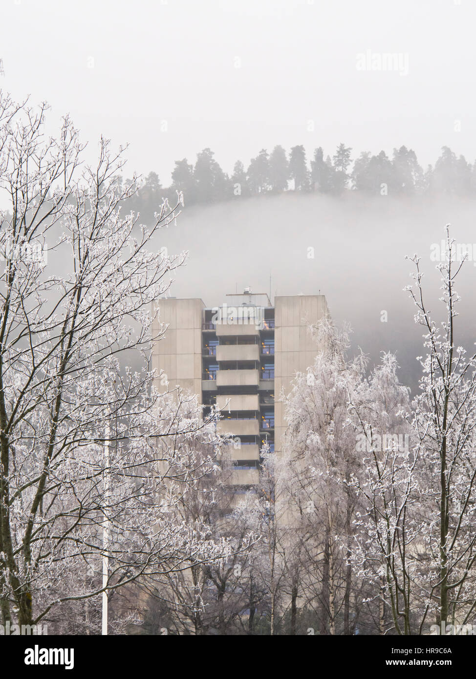 Raureif und ein nebliger Tag machen der gewöhnlichen Hochhaus von Drammen Krankenhaus in Norwegen und die Bäume im Park aus einer Fantasie Stockfoto