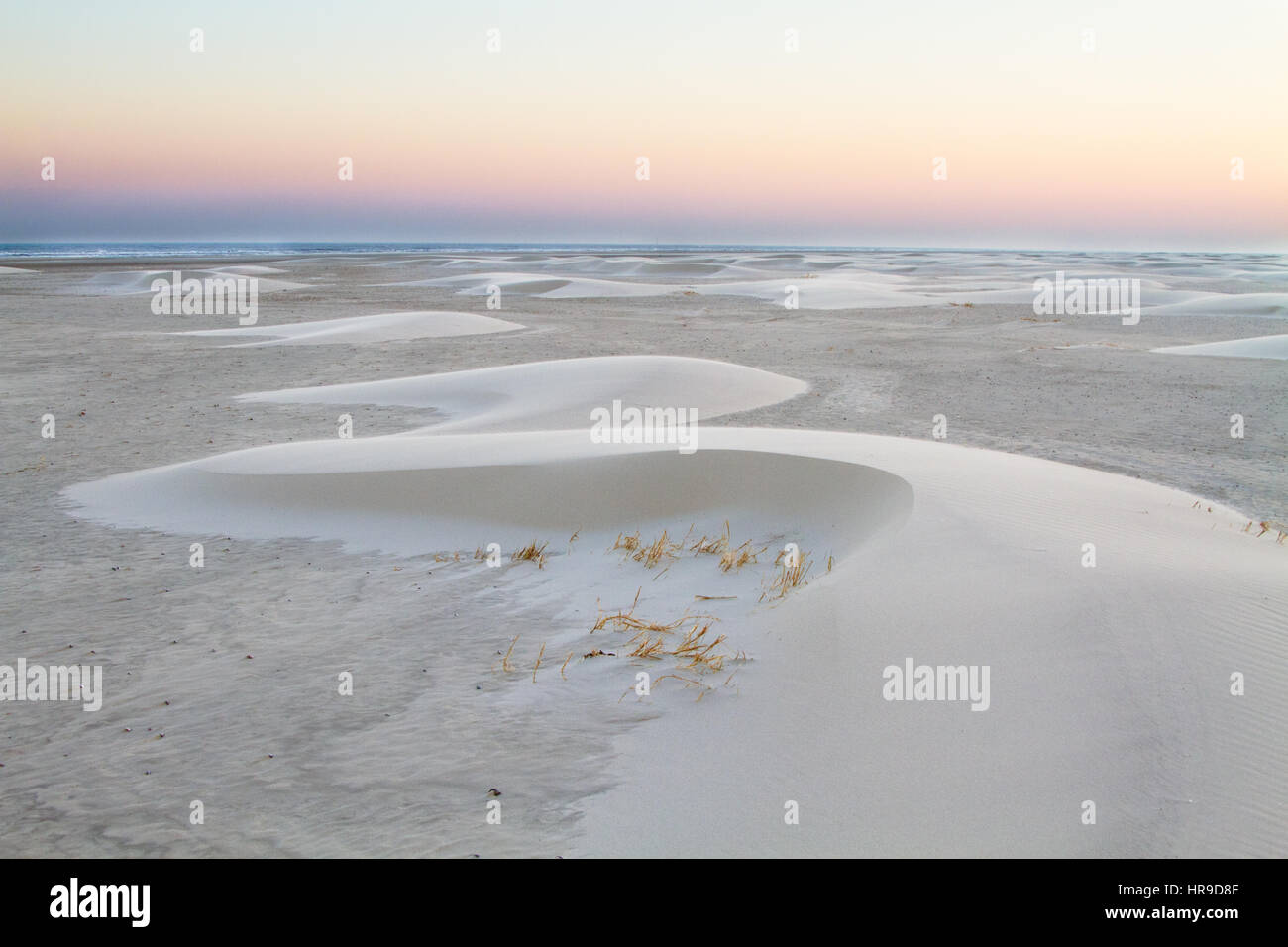 Traumhafte Landschaft, Sonnenaufgang auf einem riesigen Strand mit kleinen Barchan Dünen (Vordünen) Stockfoto