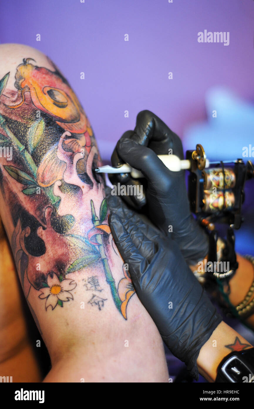 Koi Fisch tattoo Stockfoto