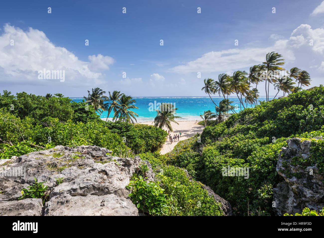 Bottom Bay, Barbados - 18. Dezember 2016: Menschen auf der Unterseite Bay Beach, Barbados, Karibik. Es ist ein tropisches Paradies mit Palmen hängen über turqu Stockfoto