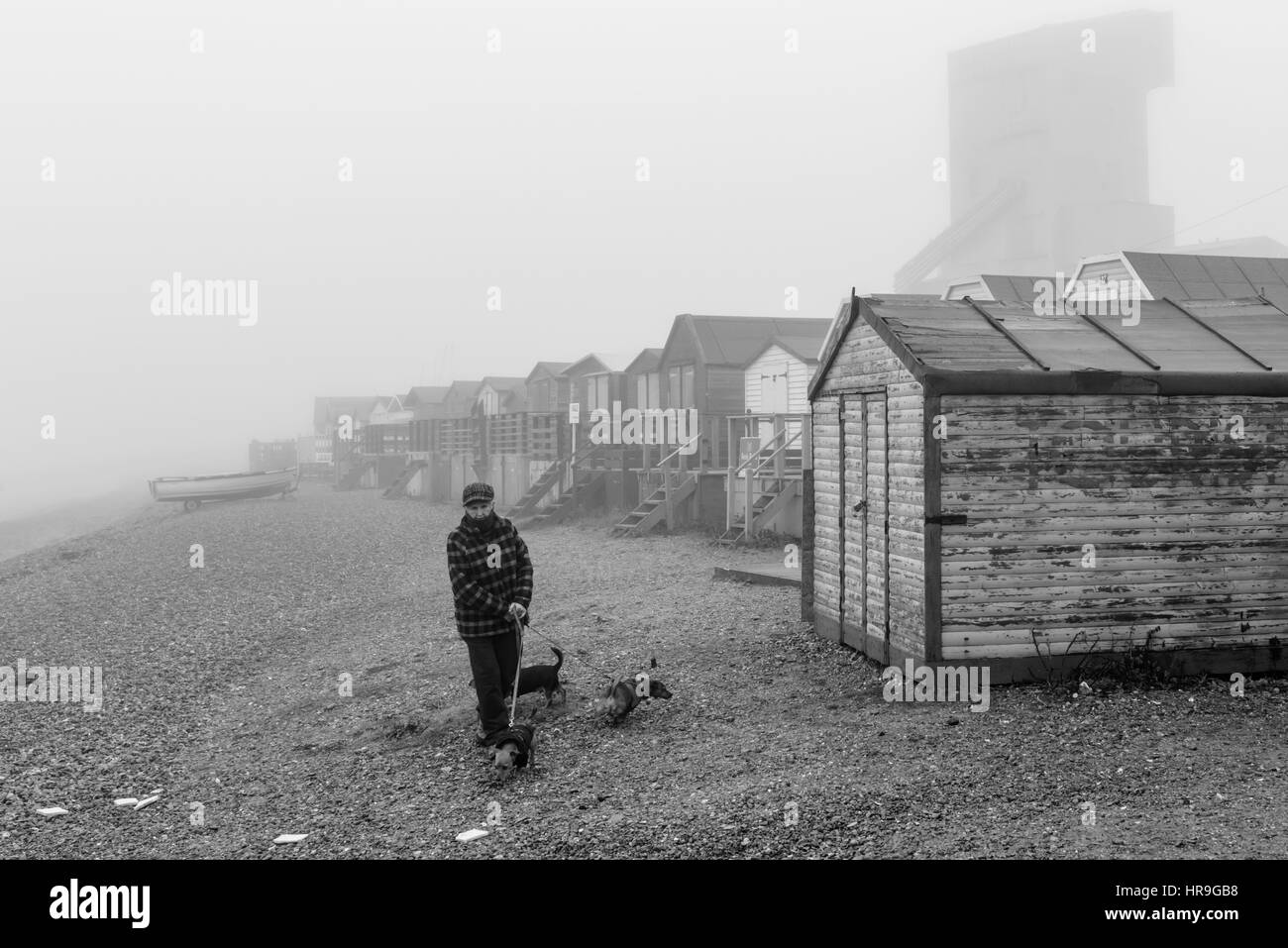 Eine reife Frau zu Fuß ihre drei Hunde am Strand an einem nebligen Tag. Stockfoto