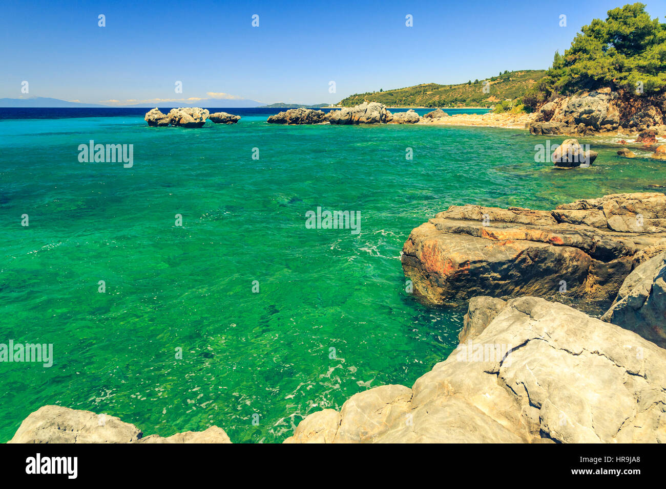 Die felsige Küste mit Kiefer mit Blick auf das türkisblaue Meer im warmen Sommertag. Griechenland. Chalkidiki Stockfoto