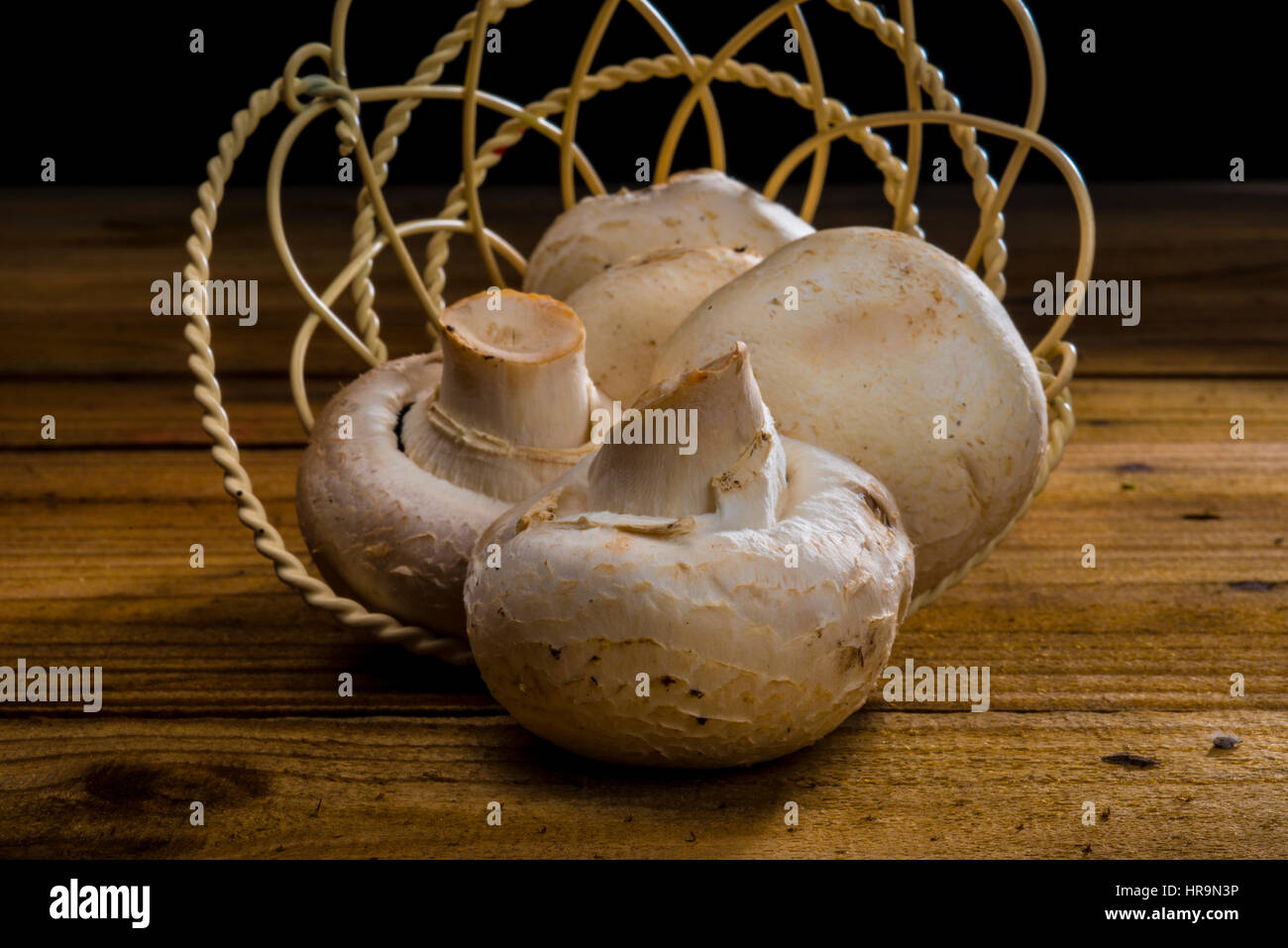 Pilze, Roll-out Drahtkorb auf Holztisch Stockfoto