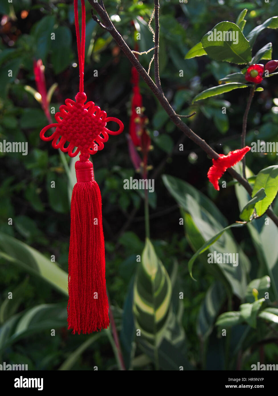 Eine traditionelle verzierten chinesischer Knoten der roten Schnur hängen von den Ast eines Baumes gemacht. Stockfoto