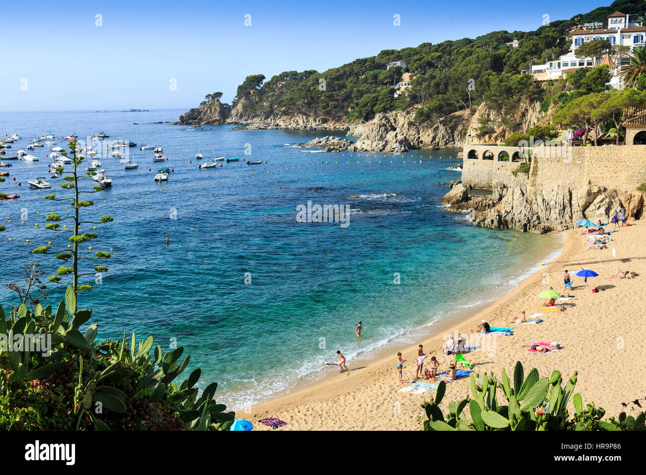 Strand von Calella de Palafrugell, Costa Brava, Spanien Stockfoto