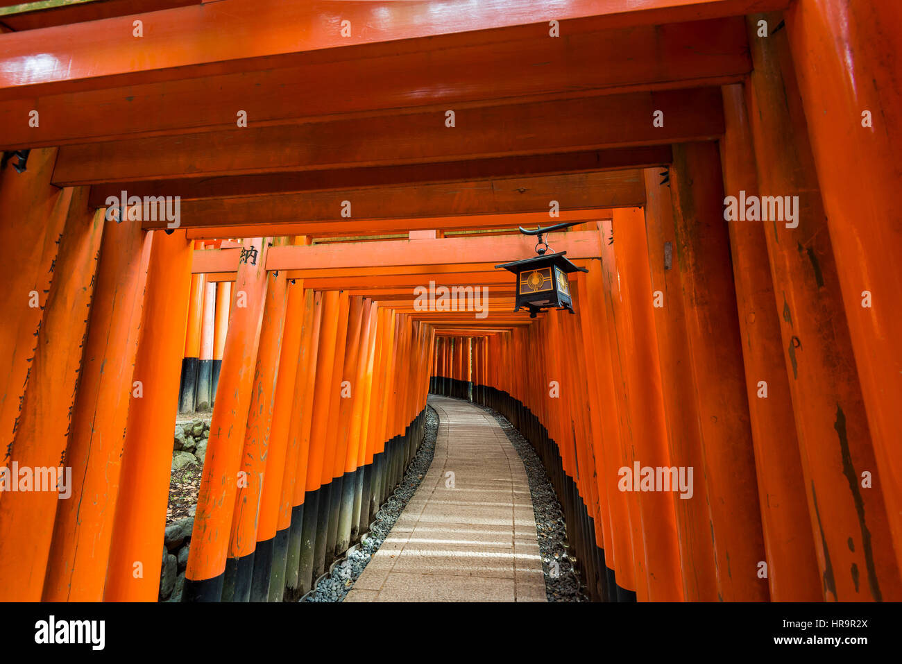 Tausende von Torii-Tore am Fushimi Inari Taicha, Kyoto, Japan Stockfoto