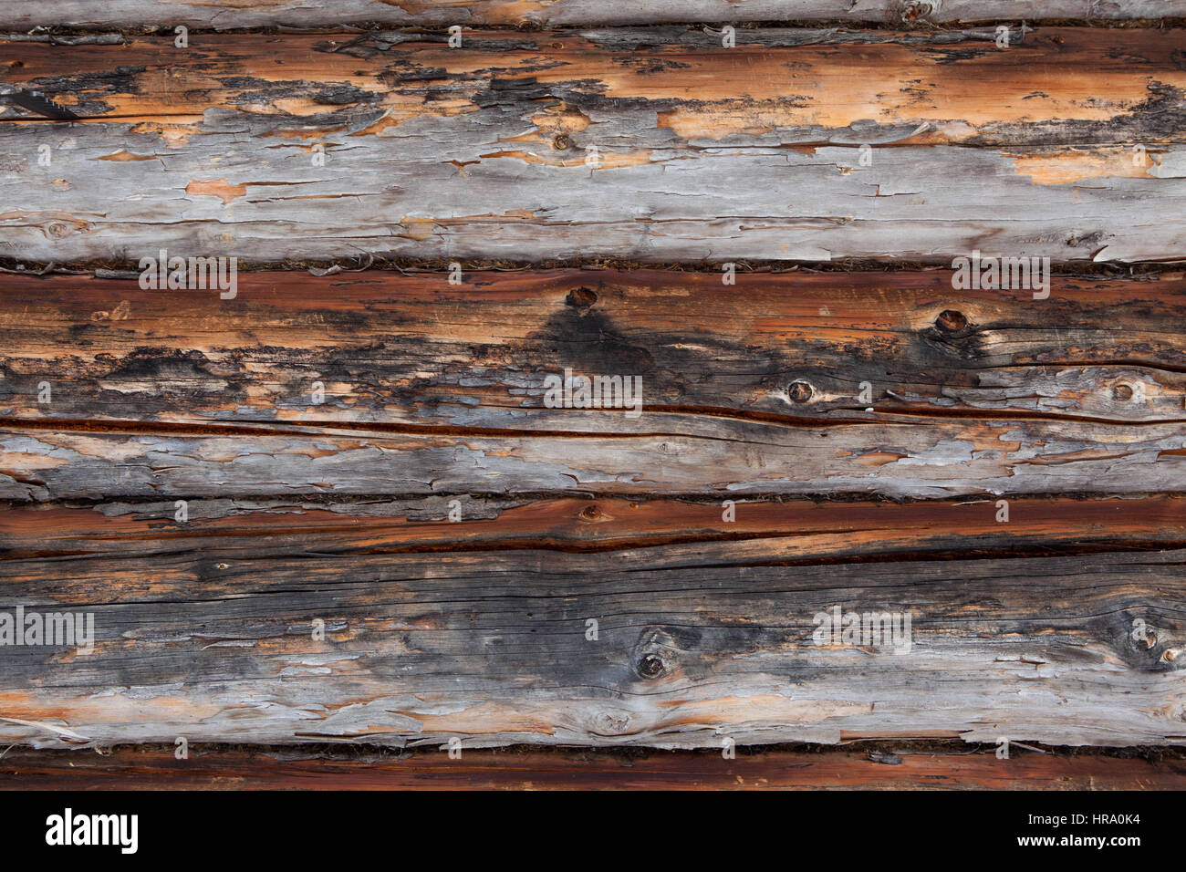 Holzwand aus Protokollen als eine Hintergrundtextur Stockfoto