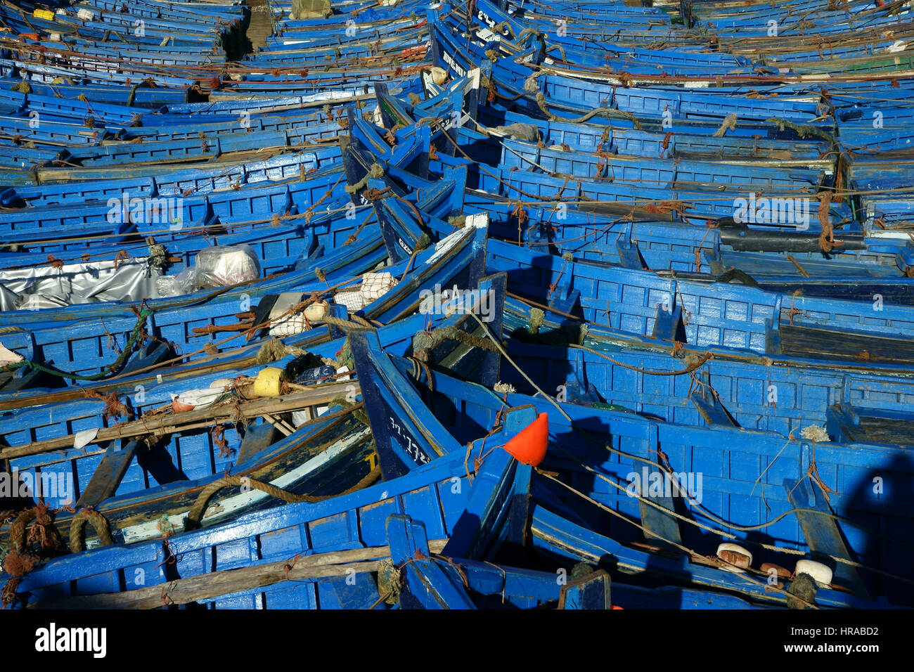 Blaue Angelboote/Fischerboote im Hafen von Essaouira verankert. Marokko Stockfoto