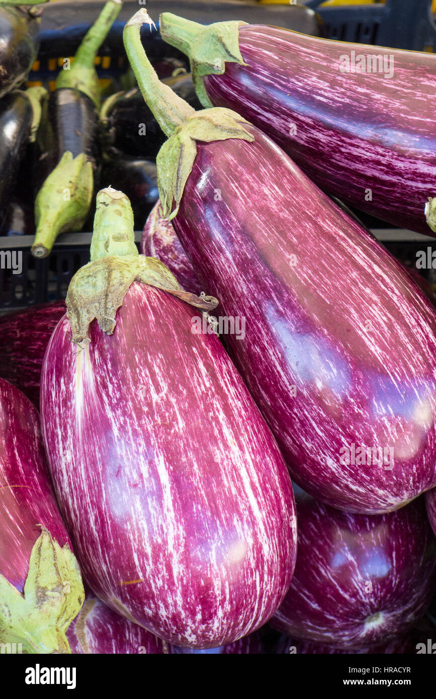 Graffiti-Aubergine / Aubergine zum Verkauf auf einem italienischen Markt Stockfoto