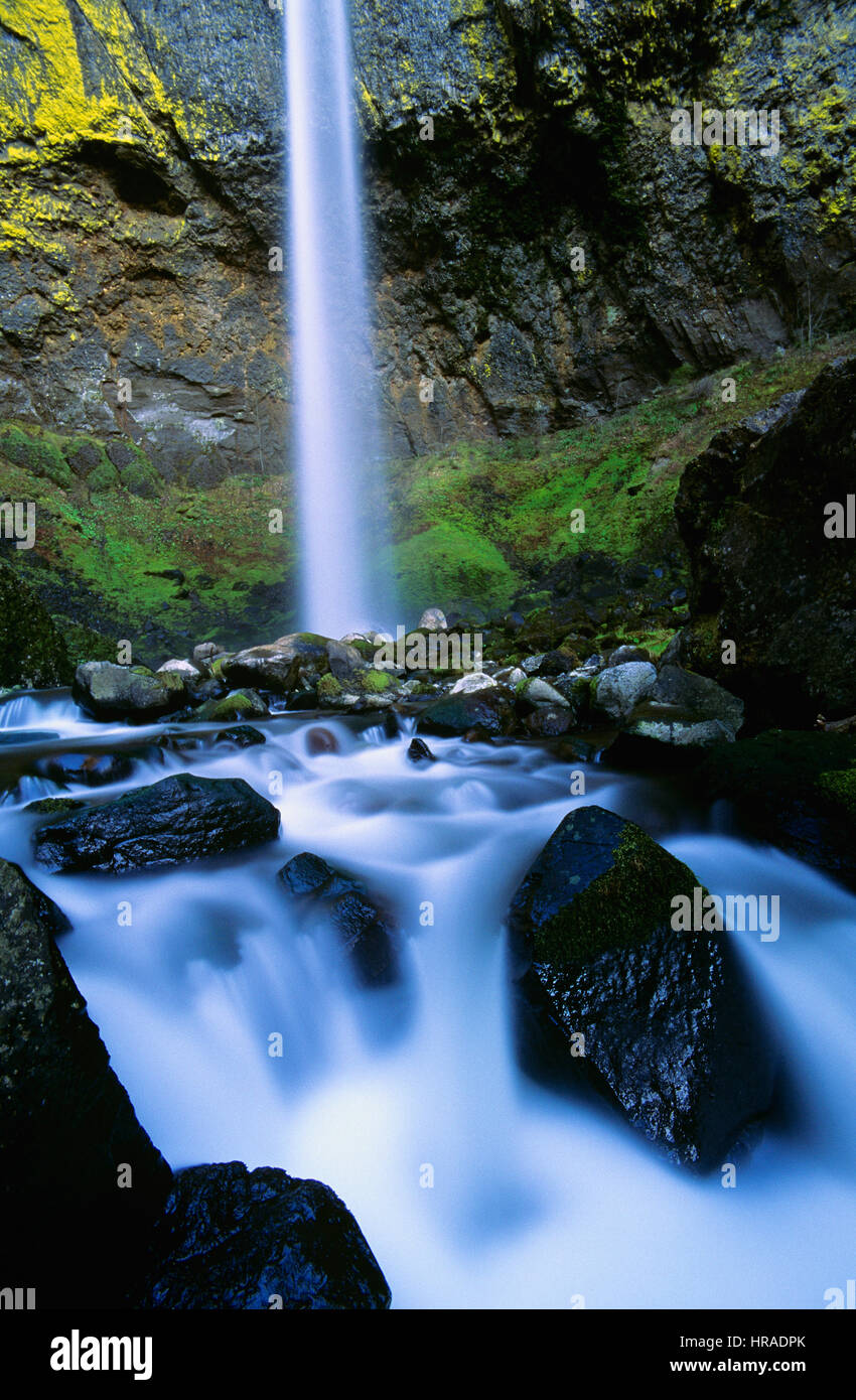 Elowah Falls, Columbia River Gorge, Oregon, Vereinigte Staaten von Amerika Stockfoto