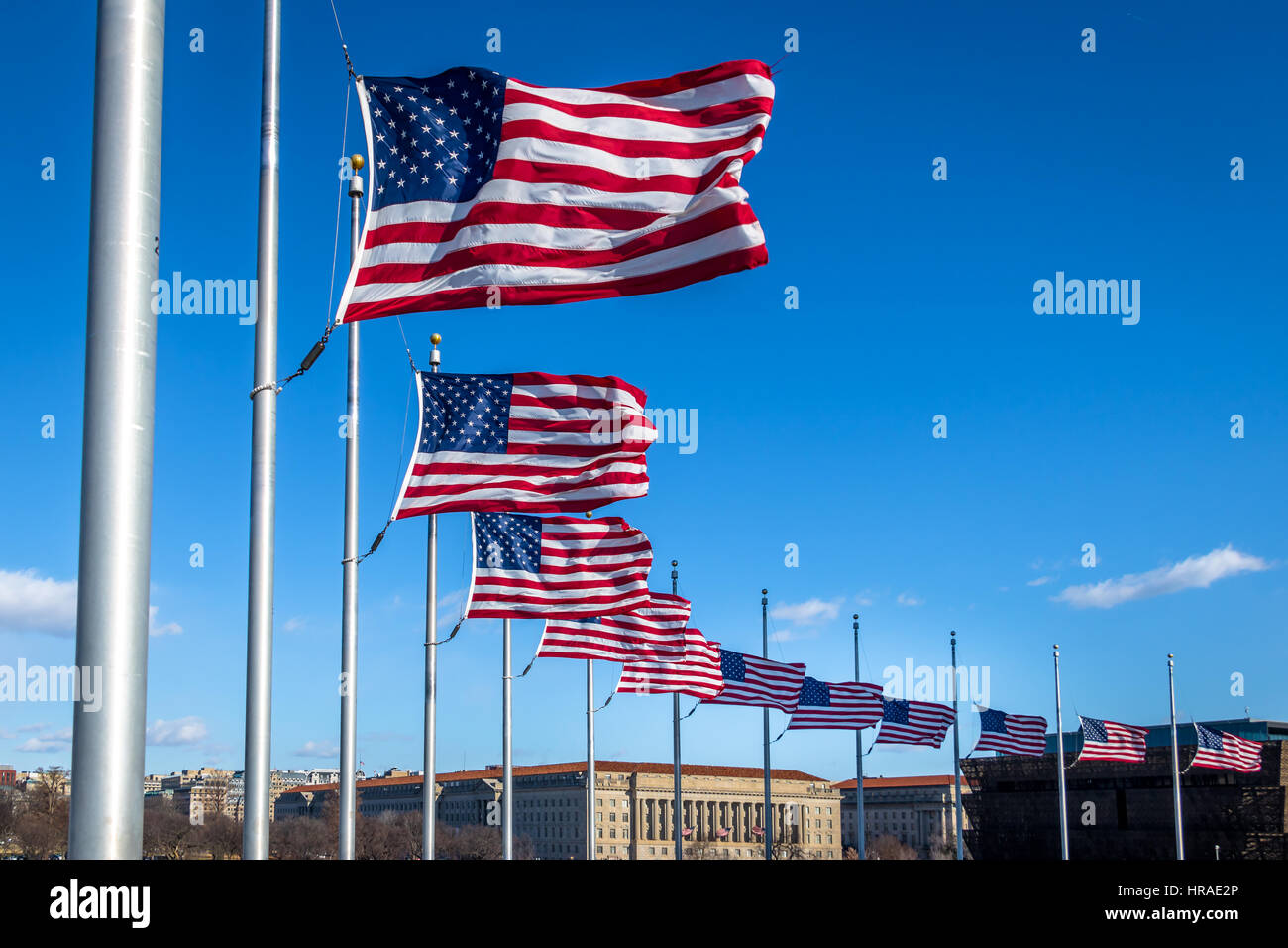 Viele amerikanische Flaggen wehten am Washington Monument - Washington, D.C., USA Stockfoto