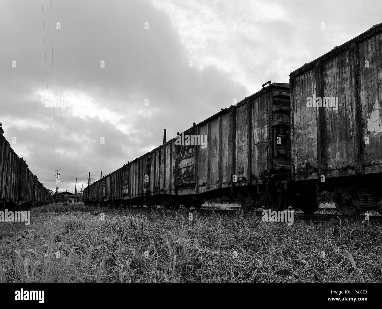 Alte Züge verlassen Stockfoto
