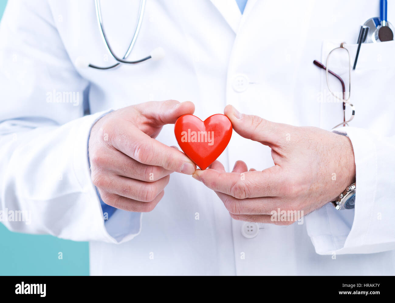 Arzt hält ein Herz, Kardiologe und Herz-Kreislauf-Krankheiten-Konzept. Stockfoto