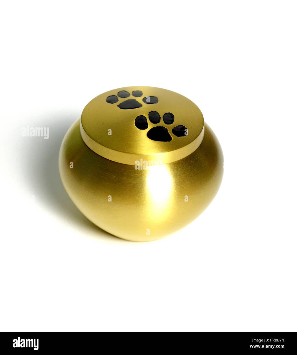 Beerdigung Urn für Haustiere, nach der Einäscherung. Stockfoto